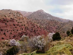nature-maroc-02