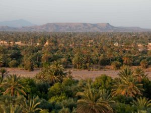 skoura-ferme-sawadi-01