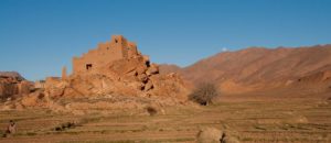 Tamtatouchte, la rose de la vallée de Todgha