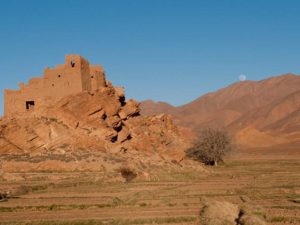 tamtatouchte-01