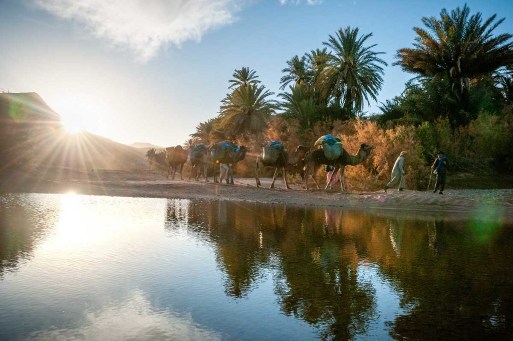 La palmeraie de Skoura.