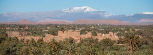 La palmeraie de Skoura avec à l'horizon les montagnes enneigées du Haut Atlas