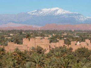 La palmeraie de Skoura avec à l'horizon les montagnes enneigées du Haut Atlas