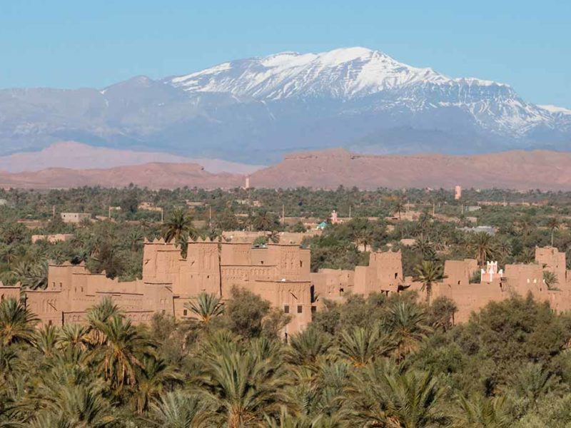 La palmeraie de Skoura avec à l'horizon les montagnes enneigées du Haut Atlas