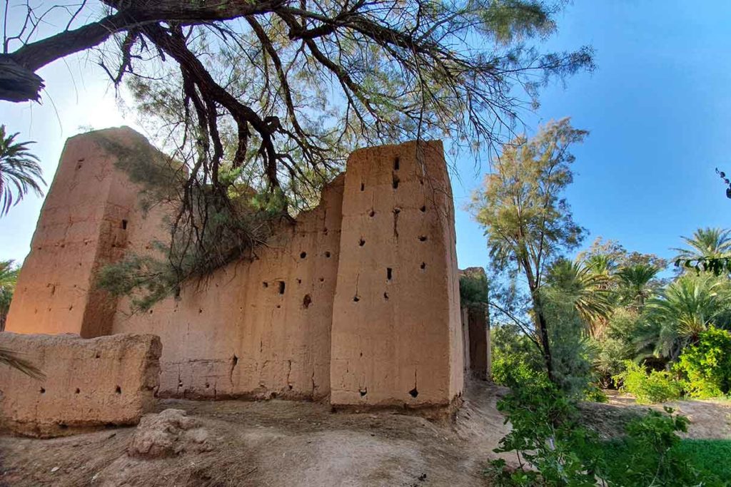 Une ruine dans l'oasis de Skoura