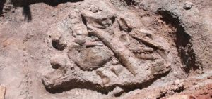 Dans les environs de Ouarzazate, les ossements du plus vieux dinosaure découvert au Maroc