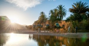 L’opportunité est là pour le Maroc de valoriser sa nature profonde