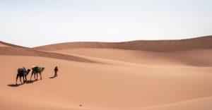 Le soufisme au Maroc, un pont vers l'avenir