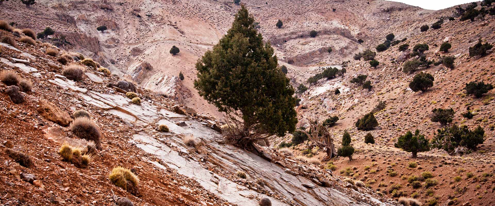 Les beautés naturelles de la région Sud Est du Maroc