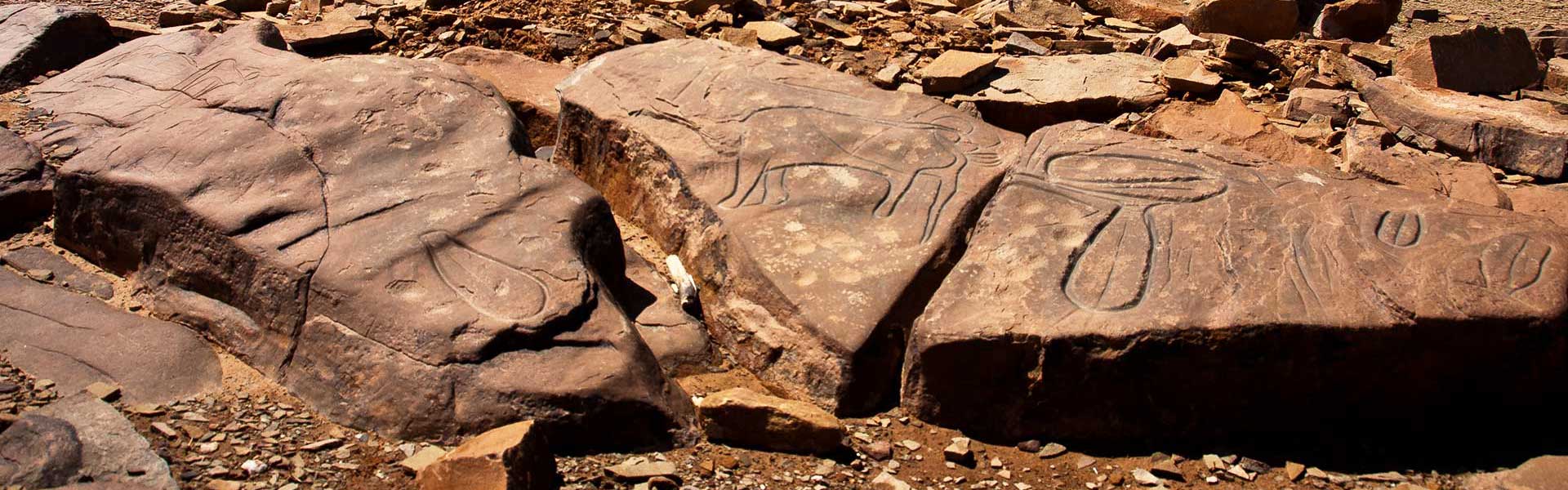 Gravure rupestre près de Zagora