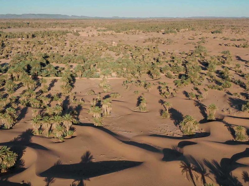 Les oasis du Maroc sont en voie de disparition