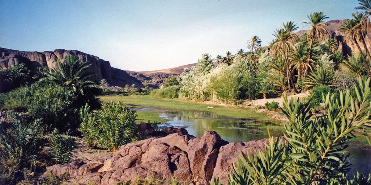 Oasis de Fint près d'Ouarzazate