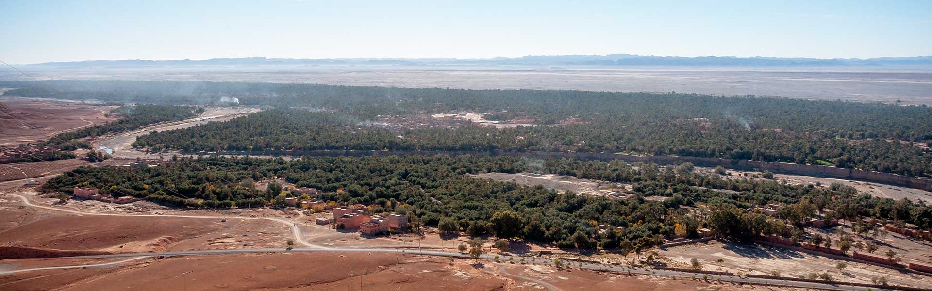 Palmeraie au Sud Est du Maroc