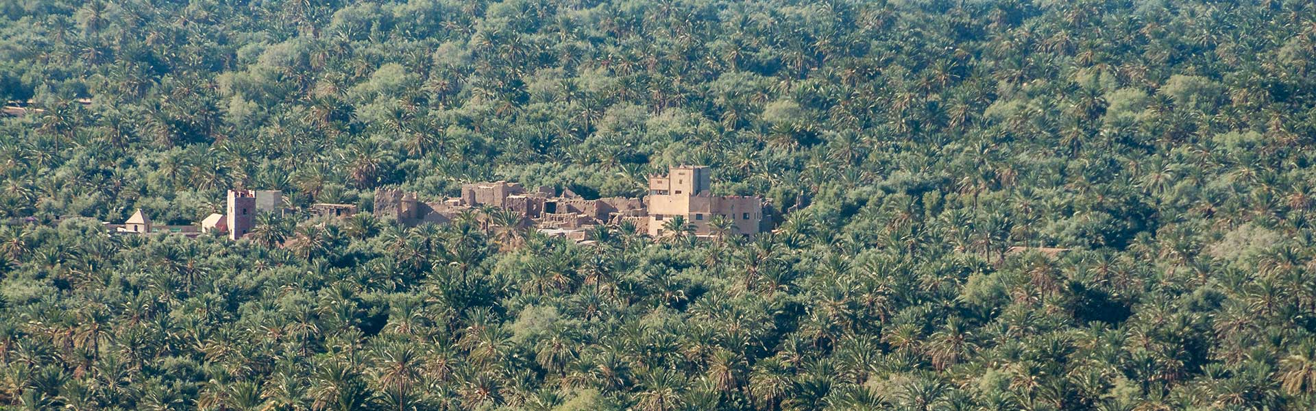 Oasis et palmeraies de la région Sud Est du Maroc