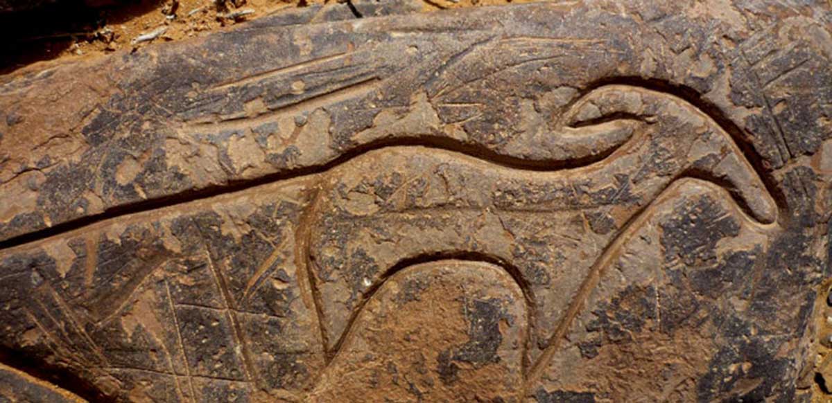 Gravure rupestre du site d'Aït Ouazik