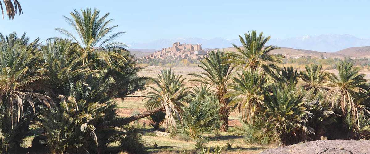 La kasbah de Tifoultoute près d'Ouarzazate