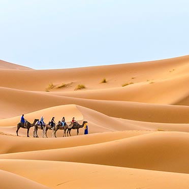 Desert Majestic 1