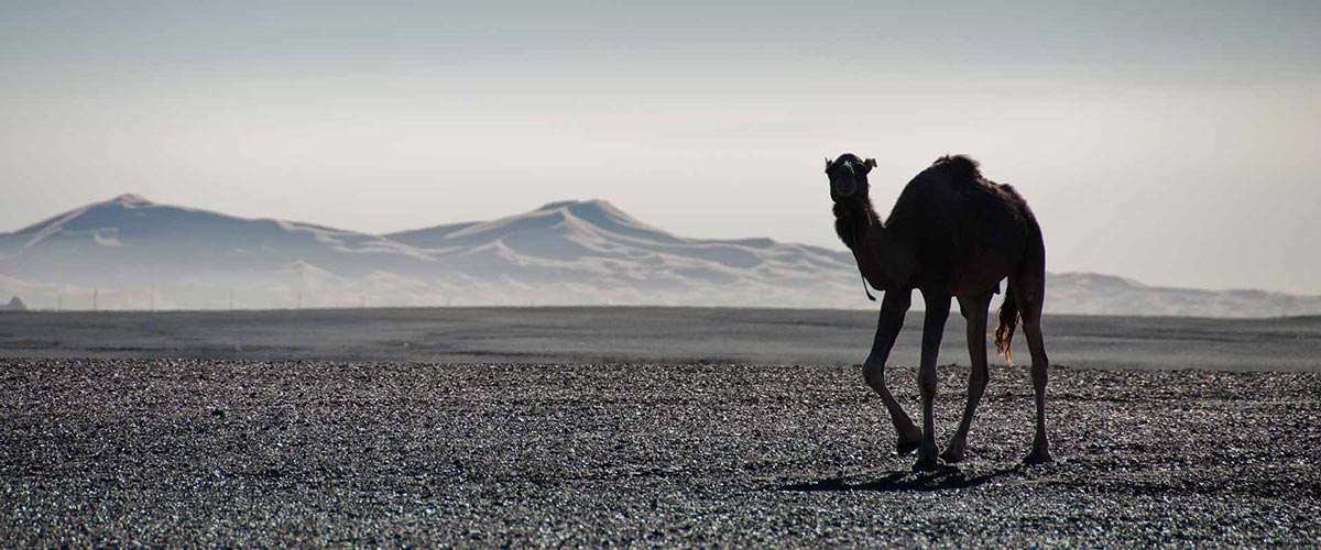 Les alentours d'Errachidia