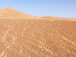 desert-xavier-0