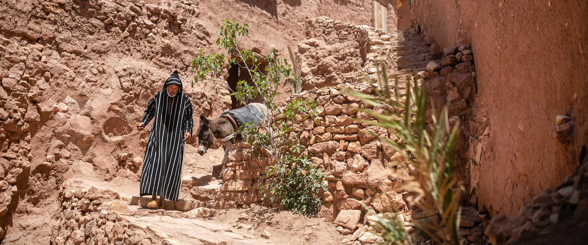Organisation sociale du ksar d'Aït Ben Haddou, autrefois.