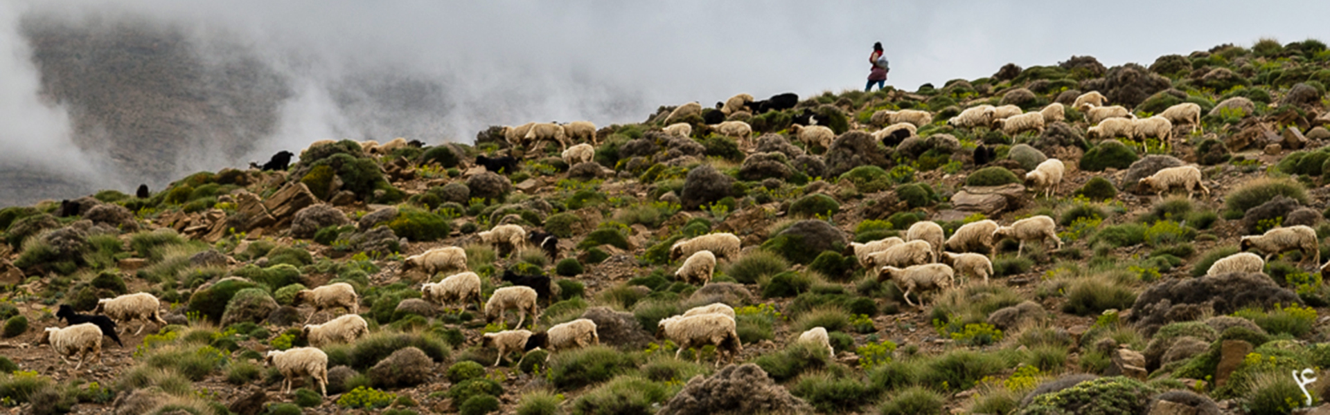Berger de montagne au Maroc par A. Azizi