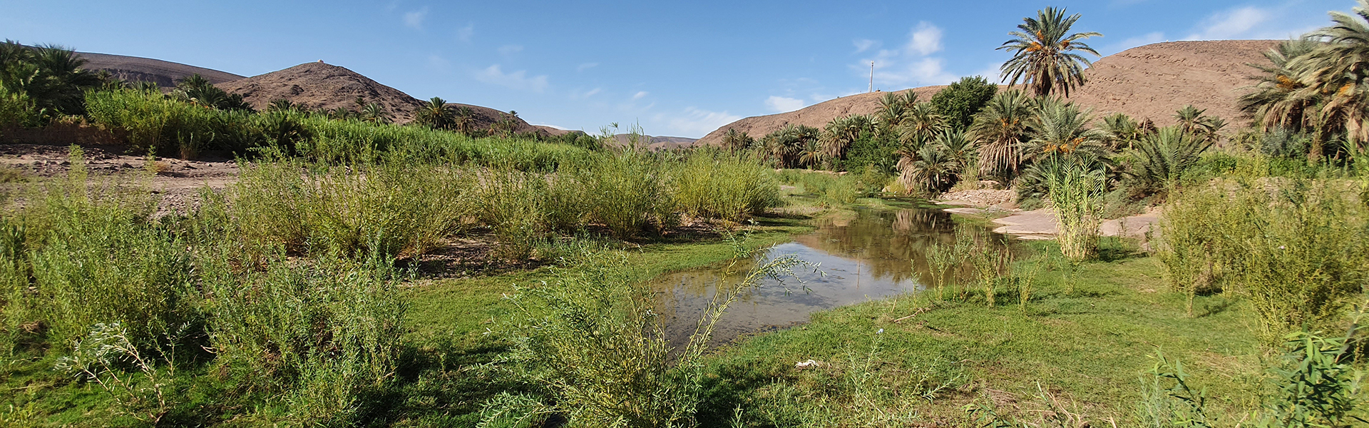 L'oasis de Fint pour sudestmaroc.com