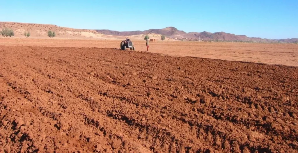 Un champ labouré au Maroc