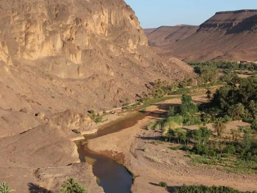 Oasis de Fint vue d'en haut