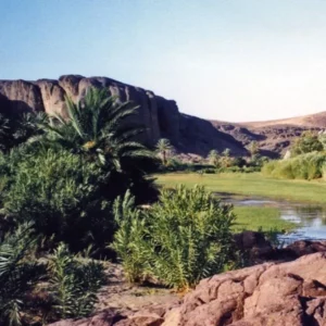 Oasis de Fint