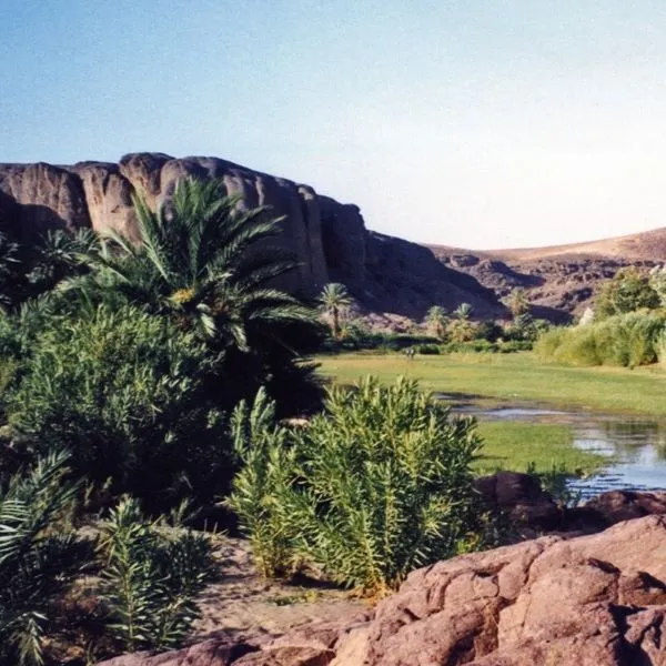 Oasis de Fint